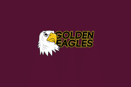 MyWebTeam becomes a major sponsor for the Manly Golden Eagles Association